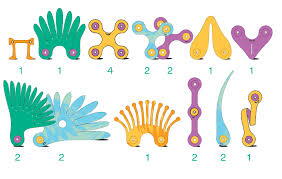 Clixor joc magnetic de construit - Pasari tropicale (22 piese)